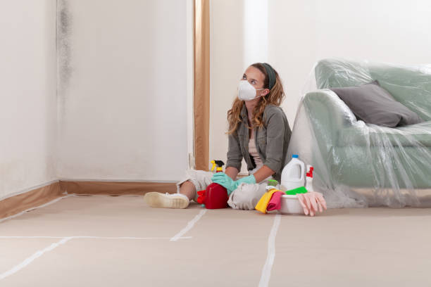 Reliable Mold Remediation contractor in Centerport, NY by WQB Mold Removal